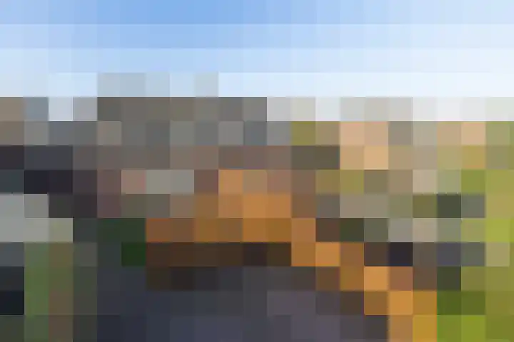 Dotterbeemd 1 Blaricum thumbnail 31