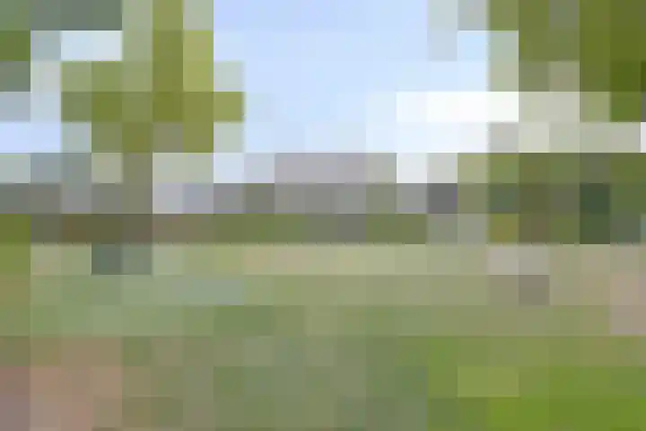 Dotterbeemd 16 Valkenswaard thumbnail 38