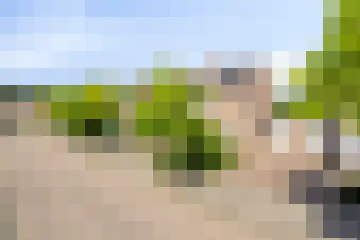 Dotterbeemd 16 Valkenswaard thumbnail 6