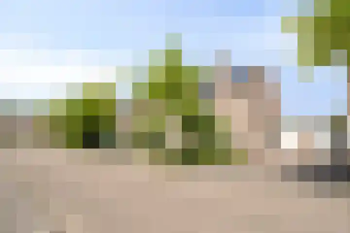 Dotterbeemd 16 Valkenswaard thumbnail 7