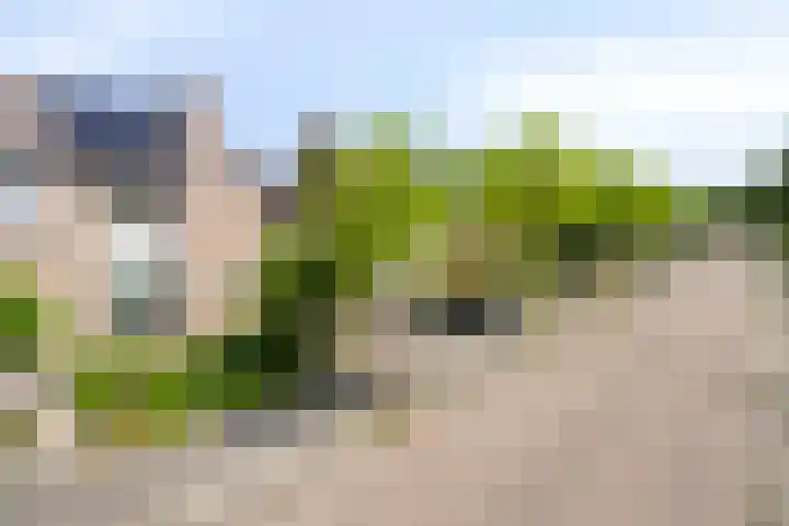 Dotterbeemd 16 Valkenswaard thumbnail 8