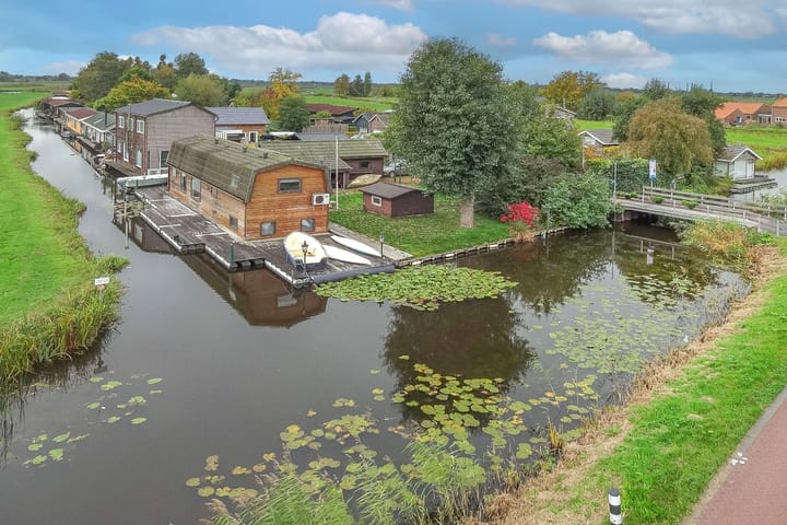 Dotterbloem 1 in Wilnis foto