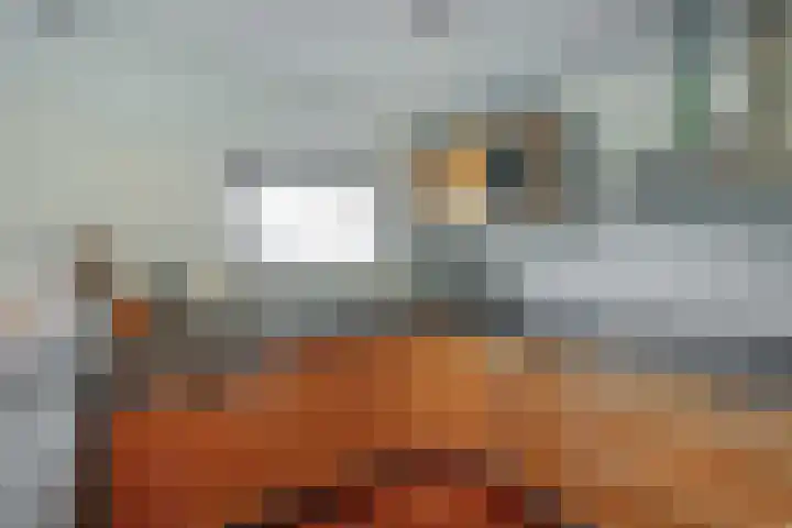Dotterbloem 1 Wilnis thumbnail 10
