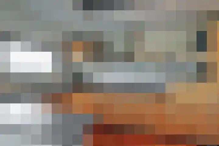 Dotterbloem 1 Wilnis thumbnail 12