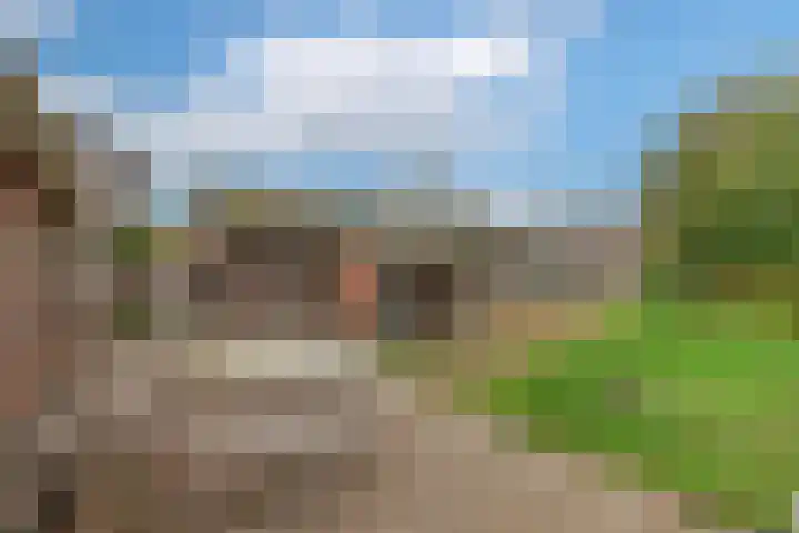 Dotterbloem 1 Wilnis thumbnail 24