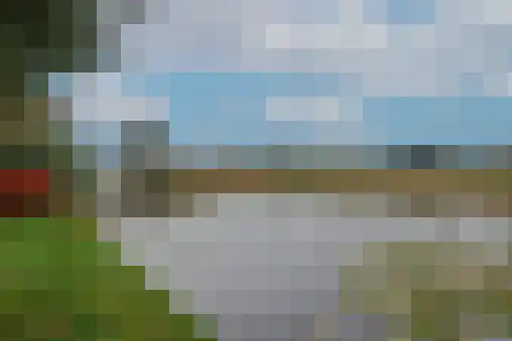 Dotterbloem 1 Wilnis thumbnail 25