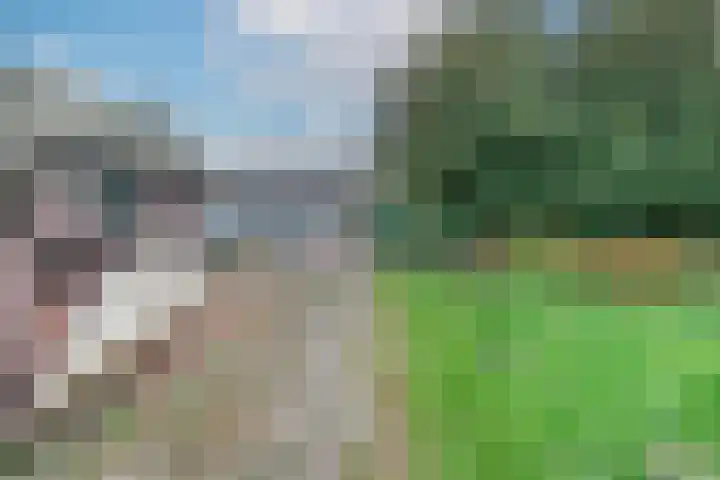 Dotterbloem 1 Wilnis thumbnail 28