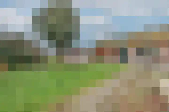 Dotterbloem 1 Wilnis thumbnail 29