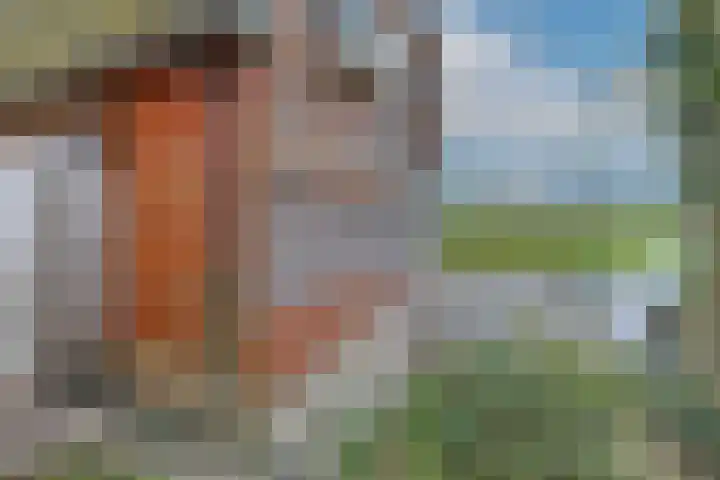 Dotterbloem 1 Wilnis thumbnail 30