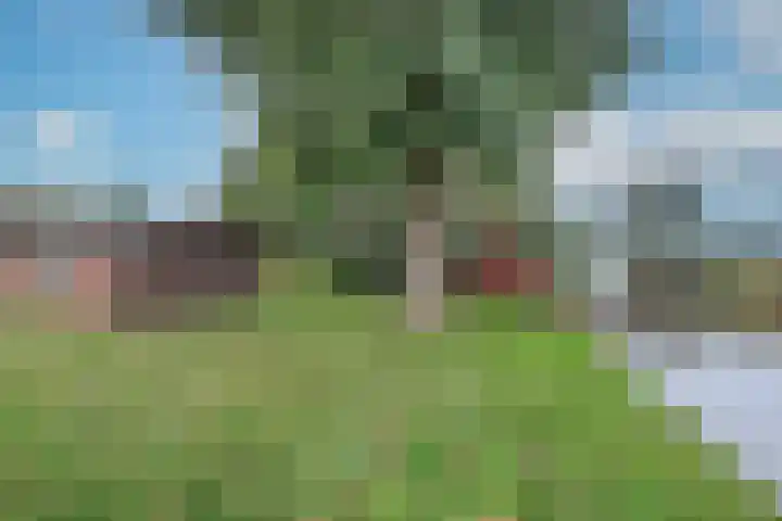Dotterbloem 1 Wilnis thumbnail 33