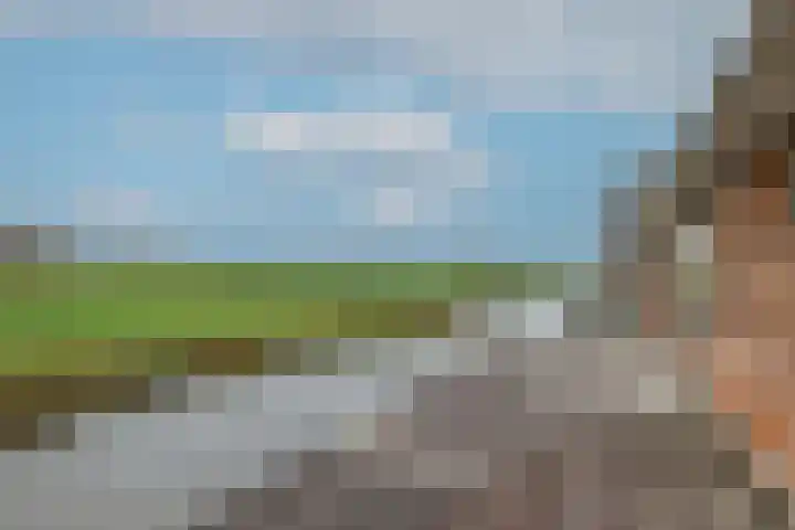 Dotterbloem 1 Wilnis thumbnail 34