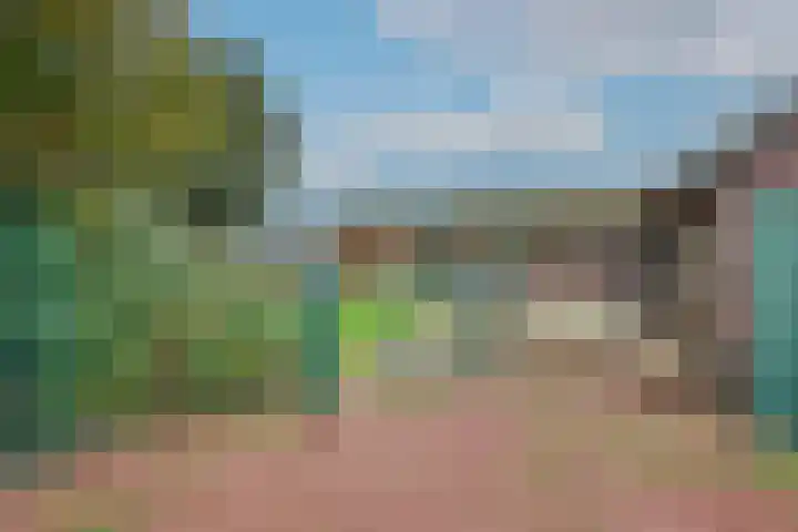 Dotterbloem 1 Wilnis thumbnail 35
