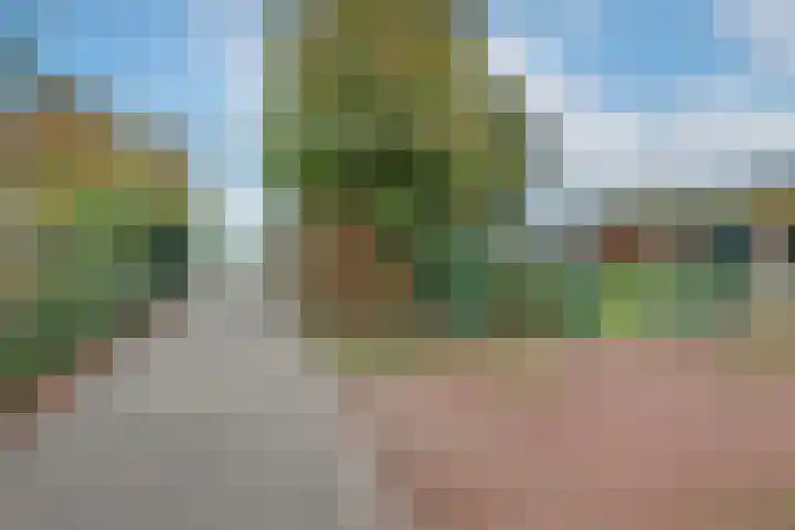Dotterbloem 1 Wilnis thumbnail 37
