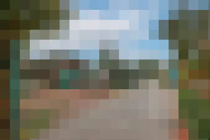 Dotterbloem 1 Wilnis thumbnail 38