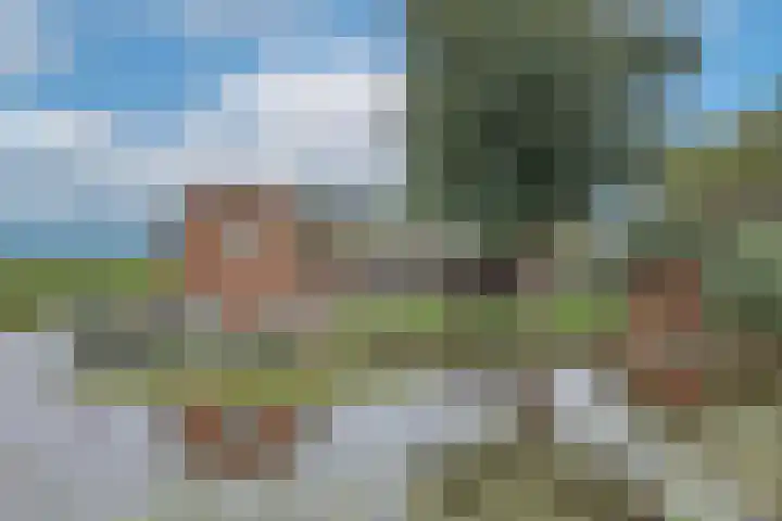 Dotterbloem 1 Wilnis thumbnail 42
