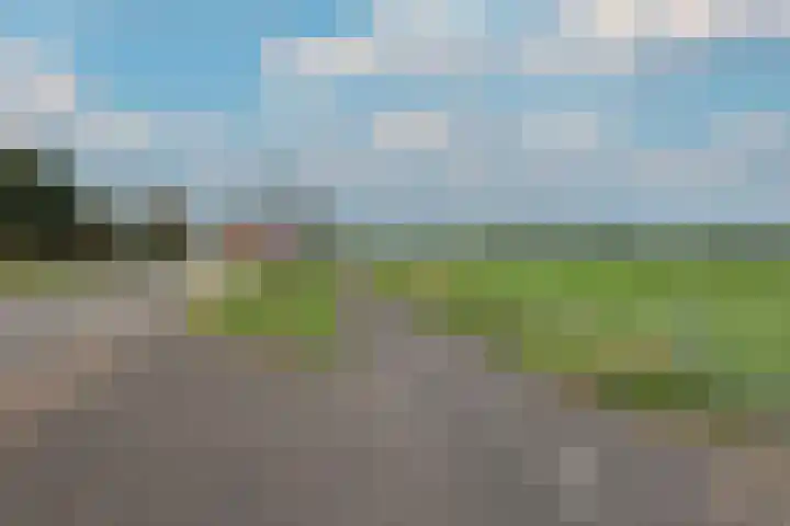 Dotterbloem 1 Wilnis thumbnail 43