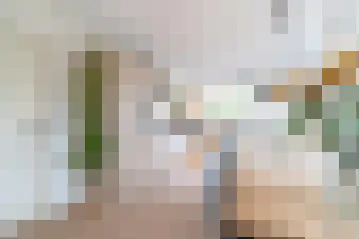 Dotterbloem 1 Zuidhorn thumbnail 13