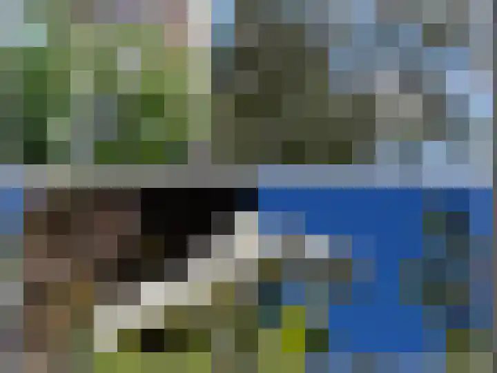 Dotterbloem 1 Zuidhorn thumbnail 18