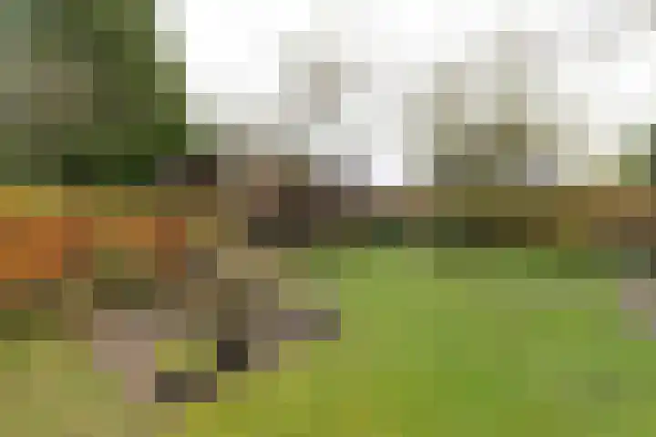 Dotterbloem 1 Zuidhorn thumbnail 19