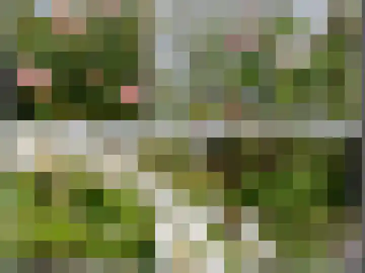 Dotterbloem 1 Zuidhorn thumbnail 20
