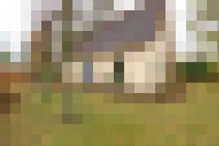 Dotterbloem 1 Zuidhorn thumbnail 24