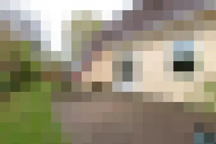 Dotterbloem 1 Zuidhorn thumbnail 28