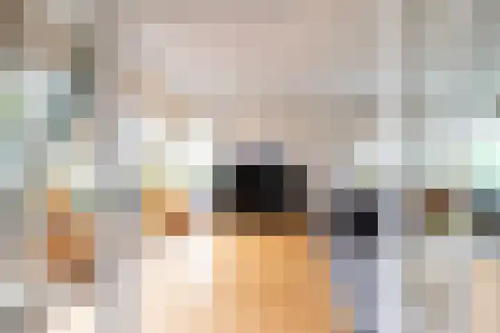 Dotterbloem 1 Zuidhorn thumbnail 29
