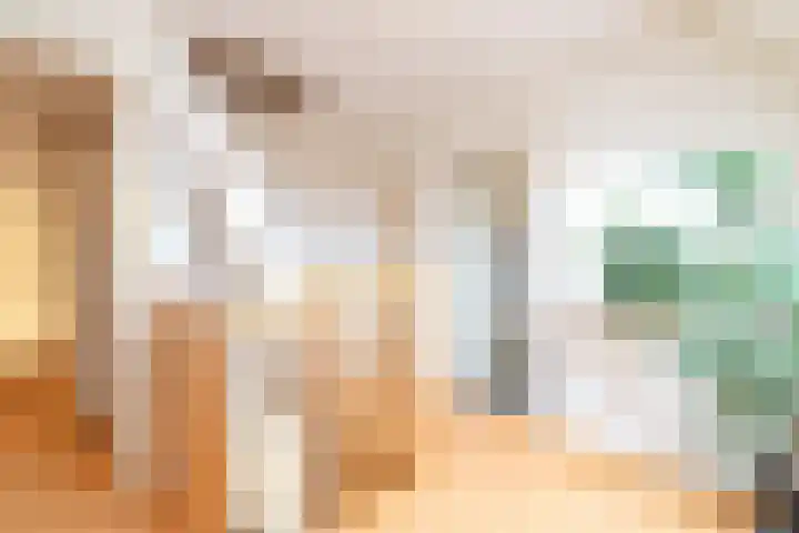 Dotterbloem 1 Zuidhorn thumbnail 34