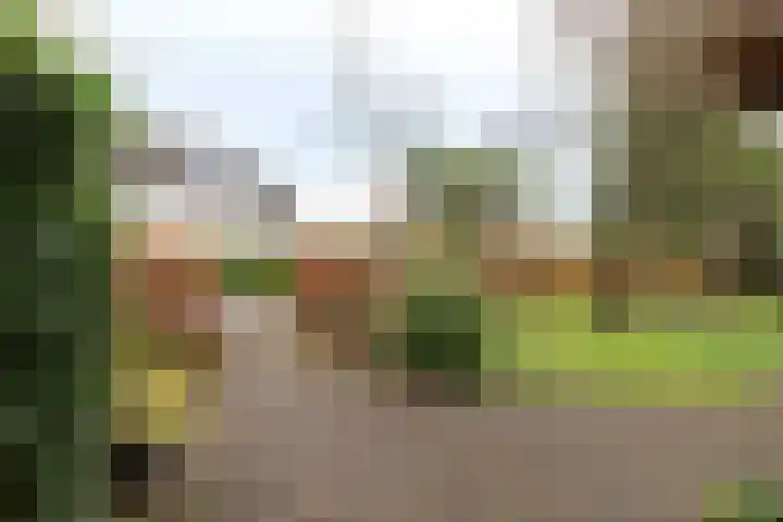 Dotterbloem 1 Zuidhorn thumbnail 46