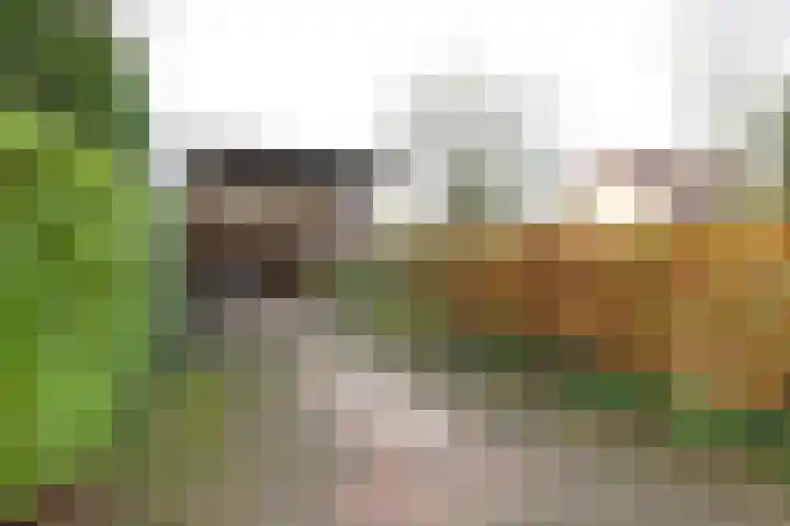 Dotterbloem 1 Zuidhorn thumbnail 47