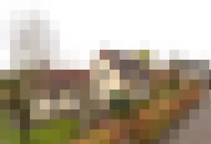 Dotterbloem 1 Zuidhorn thumbnail 49