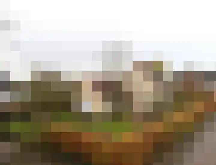 Dotterbloem 1 Zuidhorn thumbnail 6