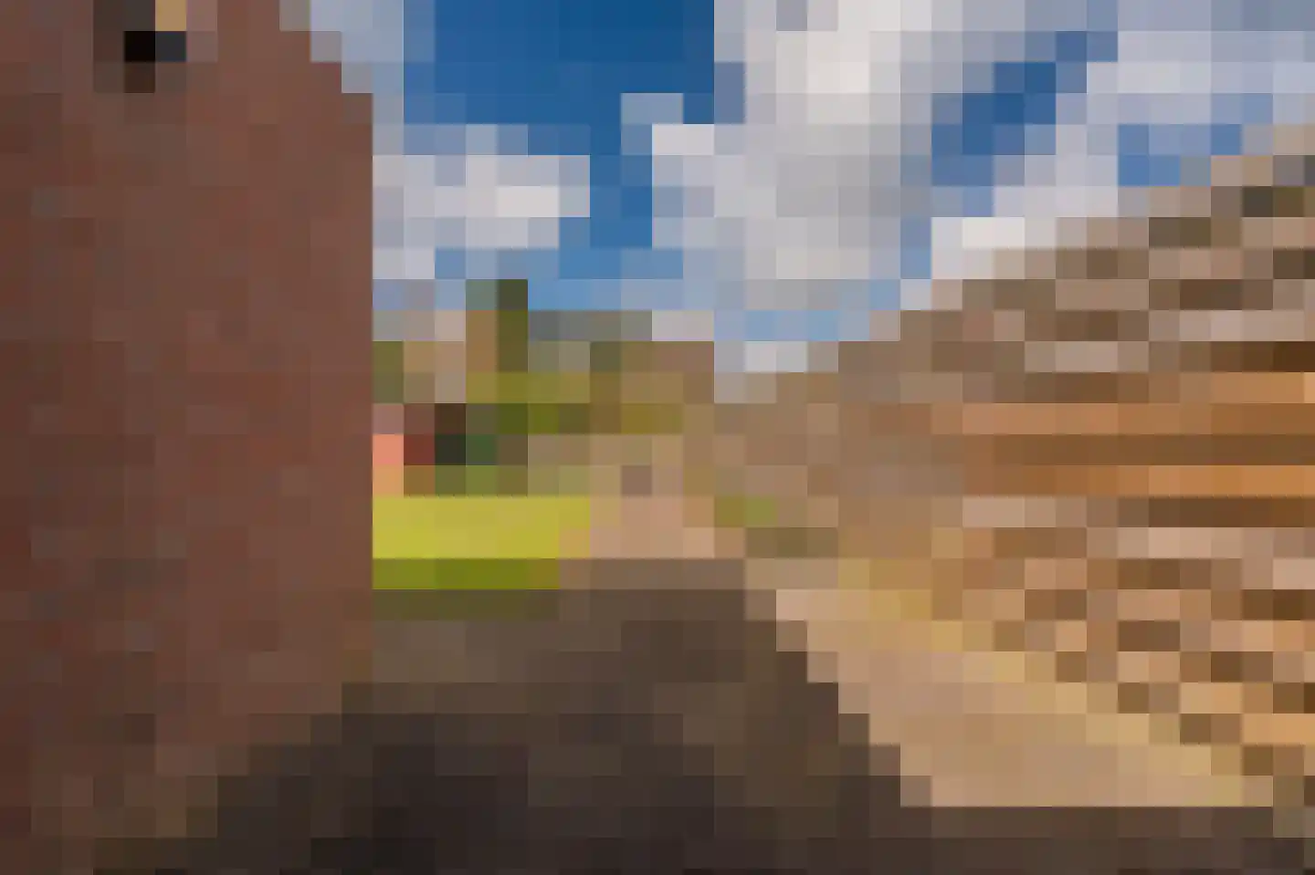 Dotterbloem 10 Scheemda thumbnail 33