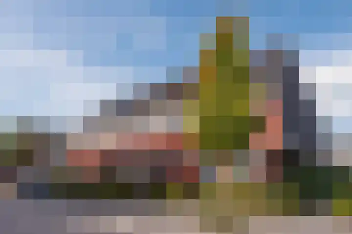 Dotterbloem 14 Bodegraven