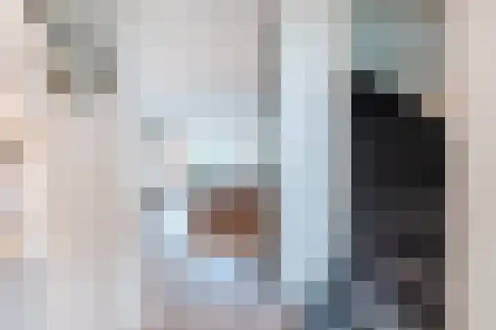 Dotterbloem 14 Bodegraven thumbnail 11