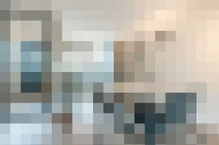 Dotterbloem 14 Bodegraven thumbnail 12