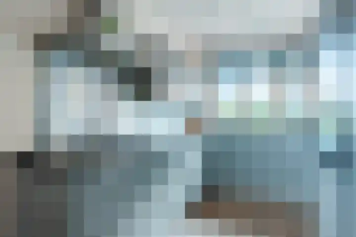 Dotterbloem 14 Bodegraven thumbnail 13