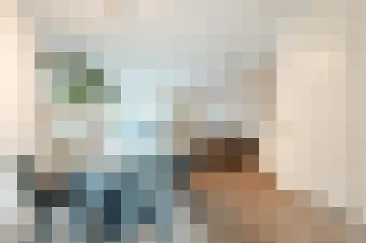 Dotterbloem 14 Bodegraven thumbnail 17