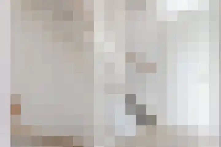 Dotterbloem 14 Bodegraven thumbnail 24