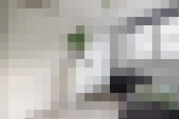 Dotterbloem 14 Bodegraven thumbnail 30