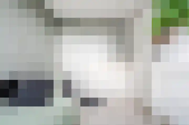 Dotterbloem 14 Bodegraven thumbnail 31
