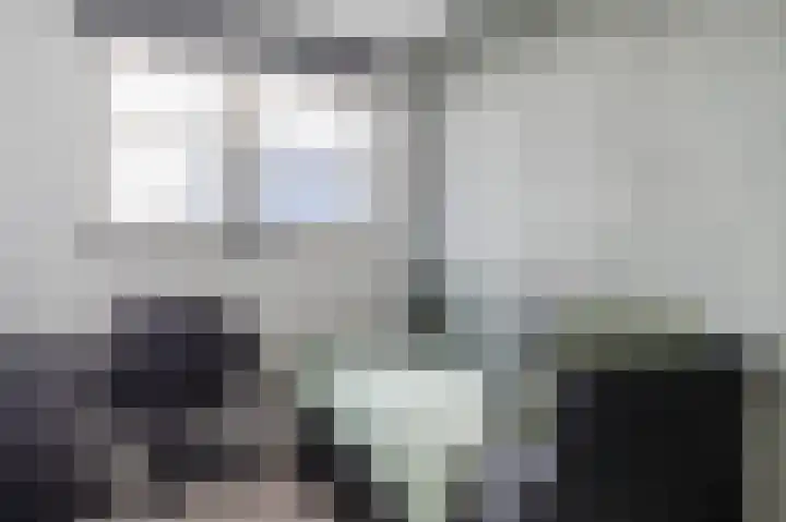 Dotterbloem 14 Bodegraven thumbnail 32