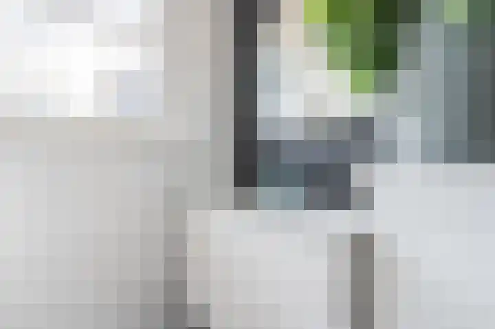 Dotterbloem 14 Bodegraven thumbnail 33