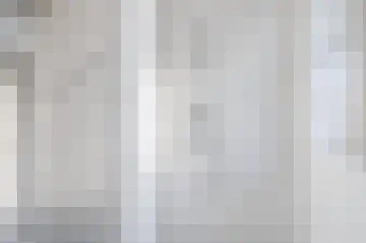 Dotterbloem 14 Bodegraven thumbnail 34