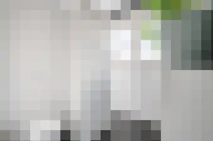 Dotterbloem 14 Bodegraven thumbnail 35