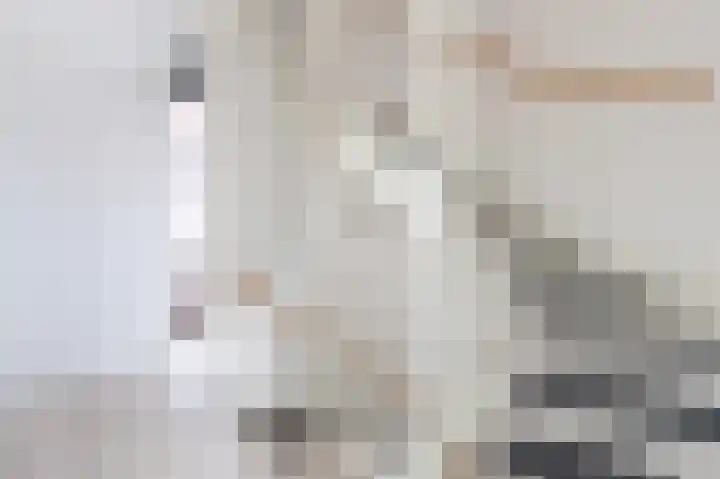 Dotterbloem 14 Bodegraven thumbnail 36