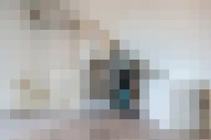 Dotterbloem 14 Bodegraven thumbnail 37