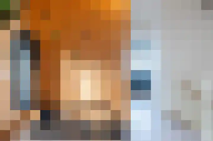 Dotterbloem 14 Bodegraven thumbnail 39