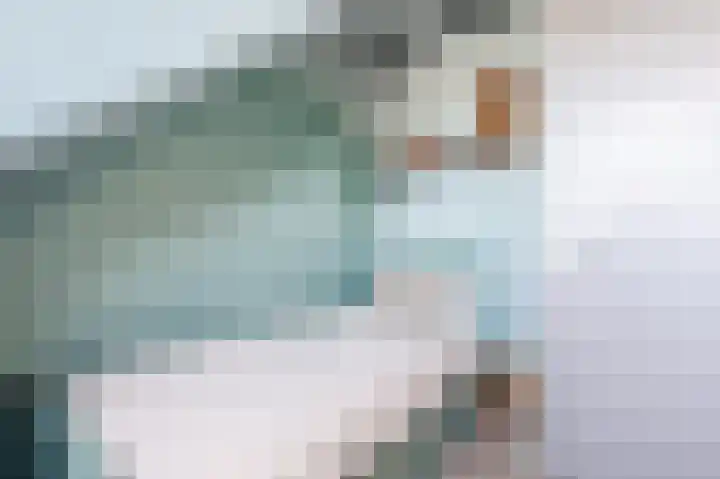 Dotterbloem 14 Bodegraven thumbnail 40