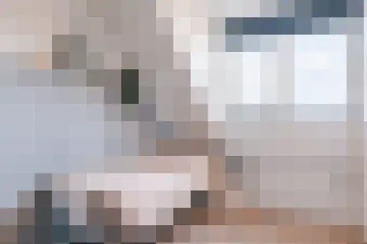 Dotterbloem 14 Bodegraven thumbnail 43